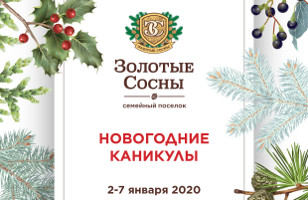 НОВОГОДНИЕ КАНИКУЛЫ В "ЗОЛОТЫХ СОСНАХ" НОВОГОДНИЕ КАНИКУЛЫ В "ЗОЛОТЫХ СОСНАХ"