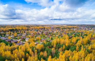 ЗОЛОТАЯ ОСЕНЬ В ЗОЛОТЫХ СОСНАХ ЗОЛОТАЯ ОСЕНЬ В ЗОЛОТЫХ СОСНАХ
