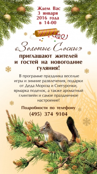 Новогодние гуляния в "Золотых Соснах" Новогодние гуляния в "Золотых Соснах"