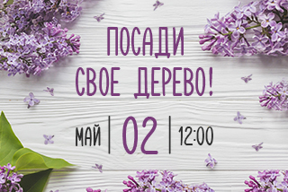 ПОСАДИ СВОЕ ДЕРЕВО! ПОСАДИ СВОЕ ДЕРЕВО!