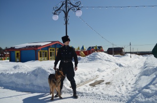 Безопасность в "Золотых Соснах" - на высшем уровне!