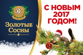 С Новым Годом! С Новым Годом!