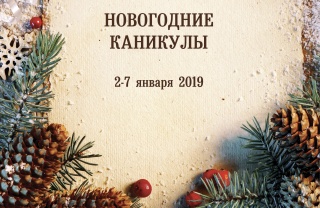 Новогодние каникулы в "Золотых Соснах" Новогодние каникулы в "Золотых Соснах"