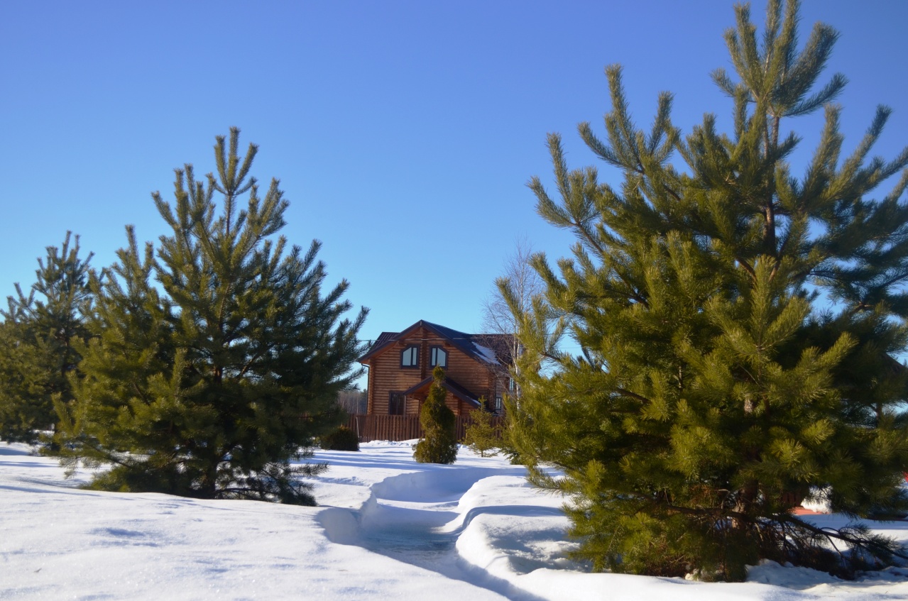 DSC_0976.JPG